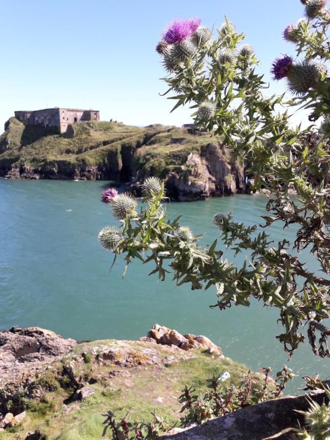 Sleepy Puffin Guest House Tenby Exteriör bild